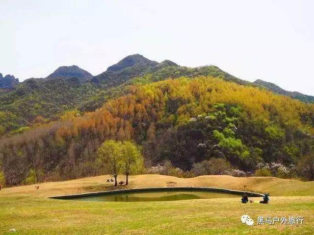 烟雨江湖哪个势力好一点游戏画面